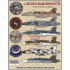 1/48 Legacy Bug Bandits Decals for McDonnell Douglas F/A-18A/B/C Hornets