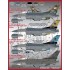 Decals for 1/48  PACAF F-16 Viper Demo