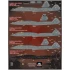 1/48 YF/F-23 Black Widows Decals for 2 Complete Jets