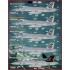 1/48 Team Shogun CVW-9 at War Decals