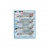 1/72 Vietnam War F-4B "Bravo MIG Killers" Decals for Academy kit