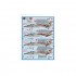 1/72 Vietnam War F-4B "Bravo MIG Killers" Decals for Academy kit