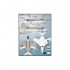 1/48 Colourful Gray & White F9F-8 Cougars Decals for KittyHawk kits