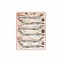 1/48 Screamn' Demons Decals Part II