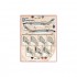 1/48 Screamn' Demons Decals Part II
