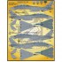 1/48 USN F-14 Tomcats Colours & Markings Part IV Decals for Tamiya kits