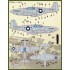 1/48 P-51B/Cs Colours and Markings Decal Part 1