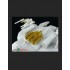 1/32 Colonial Raptor Armament Detail Set for Moebius kits