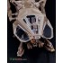 1/72 DUNE Atreides Ornithopter Open Canopy Photo-etch Detail set for Meng kit