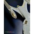 1/1400 USS Enterprise NCC-1701-E Photo-etch Detail set for AMT kit