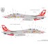 1/32 F-14 A VF-111 Sundowners 'Miss Molly' for Trumpeter kit (double sheet)