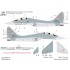 Decal for 1/48 Mig-29 Hungarian in NATO service 2021