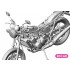 1/12 Yamaha RZ250 (4L3) 1980