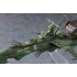 1/2500 Space Pirate Battleship Arcadia (from ''Galaxy Express 999 the Movie'')