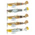 1/32 Messerschmitt Bf 109E-7 Trop [Limited Edition]