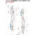 1/48 US Grumman F-14 Tomcat Stencils & RBF  