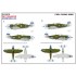 Decals for 1/48 P-47D Razorback (wet transfers)