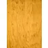 1/48 Bright Yellow Tone Pine Tree Wood Grain Transparent Decals (32pcs, A4 Sheet) 