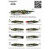 1/72 Republic P-47D Thunderbolt Razorback Over New Guinea Pt.2 Standard Decals