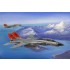 1/48 Grumman F-14D Super Tomcat