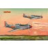 1/48 PLAAF P-51D/K Mustang