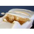 1/24 Ferrari 458 Speciale A (resin kit)