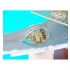 1/32 Consolidated PBY-5A Catalina Fuselage only Cutaway kit for HPH Models