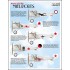 Decals for 1/48 Russian Civil War Nieuport Aeroplane