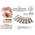 Ealastic Sanding Film #2500 (3pcs)