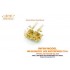 1/350 CV-6 Enterprise 1942 Detail-up Set for Merit/Trumpeter kits #65302