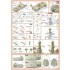 1/350 HMS Montrose Type 23 Detail-up Set for Trumpeter kit #04545