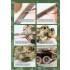 Colour Book - Soviet Armour in Foreign Wars (English)