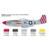 1/72 P-51D Mustang Aces