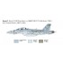 1/48 US Navy F/A-18F Super Hornet Special Colours