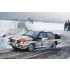 1/24 Audi Quattro Rally