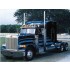 1/24 PETERBILT 378 ''Long Hauler''