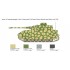 1/35 PzKpfw. IV Medium Tank