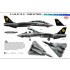 Decals for 1/48 Grumman F-14D VF-31 Tomcatters The Final Day's CAG Bird