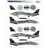 Decals for 1/72 Grumman F-14B Tomcat VF-103 Jolly Rogers CO BIRD's History