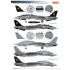 Decals for 1/72 Grumman F-14B Tomcat VF-103 Jolly Rogers CAG BIRD's History