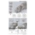 1/72 North American XB-70 Valkyrie Full Structure PE Detail Model