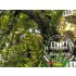 Jungle Bush II for All Scales