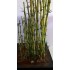 1/30, 1/32, 1/35, 1/48, 1/50 Bamboo Leaves set