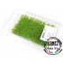 1/72, 1/48, 1/35 Green Grass Tufts