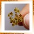 Flowers / Shrubs for All Scales