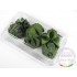 Basic Green Nut for Vegetation for all scales