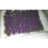 Lavender for 1/35, 1/48, 1/72, 1/87 scales