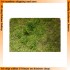 Nam Bush set X (Plastic) for 1/35, 1/48 scales (24mm - 120mm)