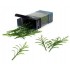 1/35, 1/32 Corn Plants - Green (50pcs)
