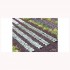 1/87 (HO scale) Green Cabbage Plants (440pcs)